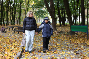 Fototapeta premium A woman and her son are walking through an autumn park, collecting yellow leaves.