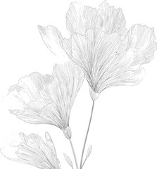 Delicate engraving-style floral illustration with fine linework in soft beige, ivory, charcoal, perfect for elegant wedding, Mother&rsquo;s Day, and spring celebrations.