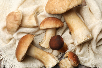 Fresh porcini mushrooms on table, flat lay