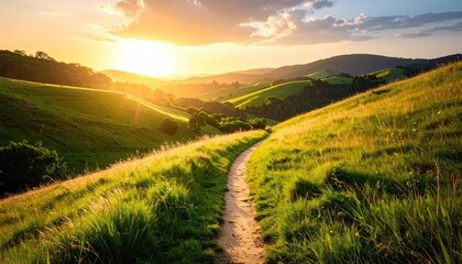 Golden Hour Sunlight Illuminates a Winding Dirt Path Through Lush Green Rolling Hills and Distant Forested Mountains Under a Warm Summer Sky