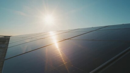 Responding to rising sun, camera panning across solar panel array at solar farm showing lens flare - Powered by Adobe
