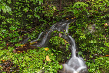 Stream cascading across rocks down rocky slope in tropical rainforest in Bali, Indonesia, surrounded by lush green foliage.
