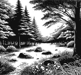A black and white illustration of a forest scene. Tall pine trees dominate the background with a stream flowing through rocks in the foreground. Lush vegetation and undergrowth fill the landscape.