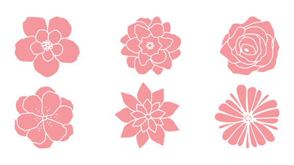 set of pink flowers