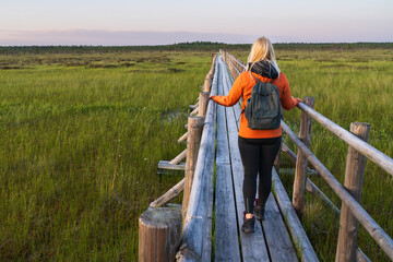 Woman with a backpack hiking on a wooden boardwalk trail through a beautiful green bog landscape in Estonia.
