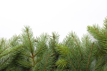 Naklejka premium Christmas tree branches on white background, flat lay. Space for text