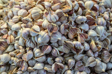 반쪽씩 쪼개 놓은 여러개의 마늘들 