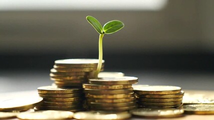 A seedling grows from a stack of coins, symbolizing the relationship between investment and growth in finance.