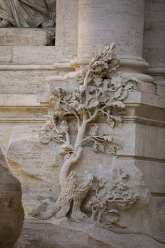 View of sculpted tree and foliage adorns a weathered stone column base, bathed in soft light, a testament to artistry and time, Rome, Lazio, Italy.
