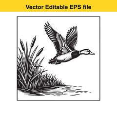A detailed black and white illustration of a mallard duck in flight over water with cattails and reeds