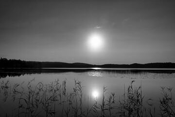 Sunrise at the lake with reeds and forest reflections in golden morning light
