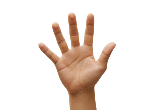 Isolated Human hand raising five fingers up as greeting to demonstrate number five or high five