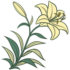 Stylized yellow lily flower with buds and leaves silhouette isolated on white background