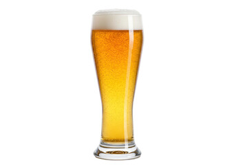 Isolated drink in a glass on a plain backdrop shows lager beer and white foam on top