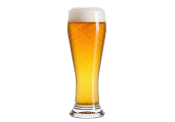 Isolated drink in a glass on a plain backdrop shows lager beer and white foam on top