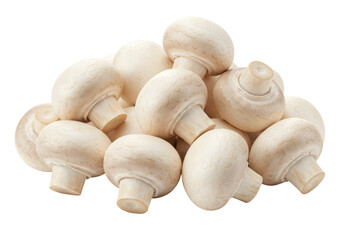 Isolated edible Agaricus bisporus mushrooms, fresh vegetarian ingredient, cultivated fungi