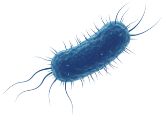 Isolated Pathogen Organism with Flagella, Microbiology Vector Illustration against Backdrop