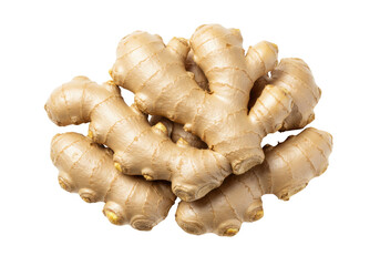 Isolated ginger rhizome root, fresh raw spice, Asian cuisine ingredient for cooking, herbal remedy