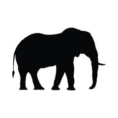 Fototapeta premium Elephant silhouette vector illustration, wildlife animal