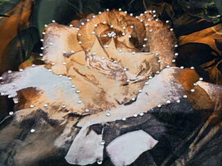 This is a picture of the fabric pattern 