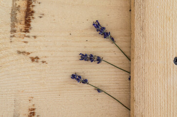Lavender flowers on a wooden background. Lavender purple flowers on a rustic wooden background