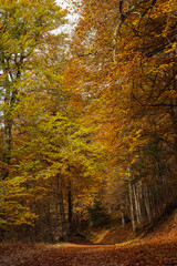 Obraz premium Lerma, Burgos, Spain. Majestic Baroque Ducal Palace in the Historic Hilltop Town.