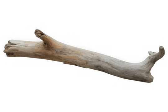 Driftwood isolated on black background