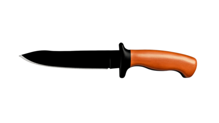 Heavy duty knife with black blade and wood handle