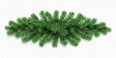 Vector realistic pine tree branches isolated on a transparent background. Holiday Christmas tree garland for winter decoration banner, poster, greeting card.