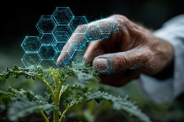 An agronomist's hand examines a plant seedling in a field, surrounded by neural networks. Future technologies in farming. Artificial intelligence in gardening.