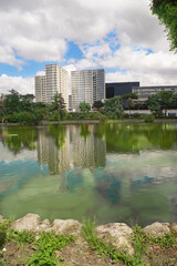 urban reflection and nature coexistence