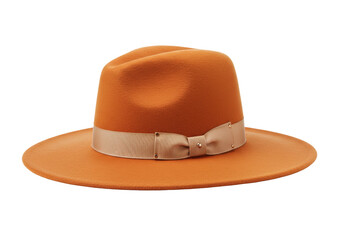 Isolated fashionable wool felt fedora hat with ribbon, stylish headwear for autumn season