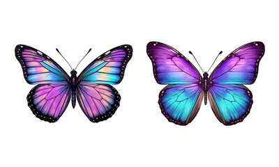 Obraz premium Two iridescent purple and blue gradient butterflies, isolated graphic illustration.