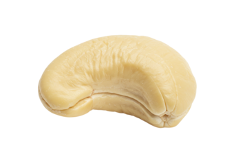 Isolated cashew nut, close up of a healthy raw snack, vegetarian or vegan ingredient, food staple