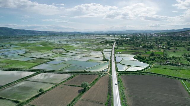 Traffic on rural road on sunny dat driving trough agriculture rice fields under water