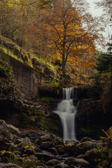 Fototapeta premium Autumn season in Route of the Waterfalls of Puente Ra, Sierra Cebollera Natural Park, Cameros, La Rioja, Spain