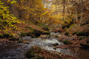 Obraz premium Autumn season in Route of the Waterfalls of Puente Ra, Sierra Cebollera Natural Park, Cameros, La Rioja, Spain