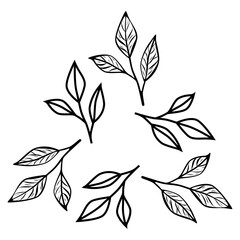 Minimalist line art illustration of coffee or tea branches arranged in a triangle shape. Perfect for cafe logo, packaging, branding, and organic product design.