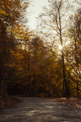 Obraz premium Autumn season in Route of the Waterfalls of Puente Ra, Sierra Cebollera Natural Park, Cameros, La Rioja, Spain