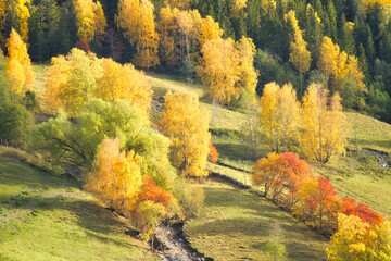 Colorful autumn landscape with deciduous trees, hills and a stream in the valley
