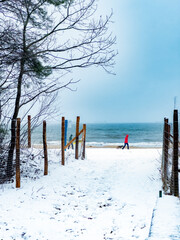 Walking Along the Winter Coast with a Dog