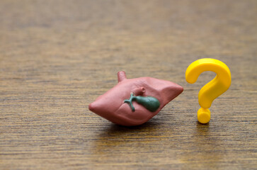 Liver Health Questions: A liver model and a question mark symbolize uncertainty and the need for medical diagnosis related to hepatic and gallbladder health.