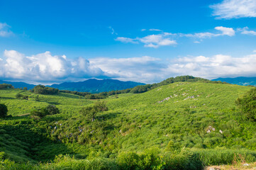 秋吉台（長者ヶ峰）の眺望