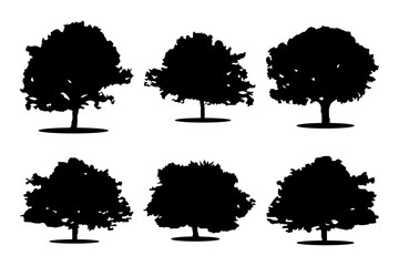 Tree Icon Silhouette Set Collection of Black Tree Vector Illustrations Isolated on White Background