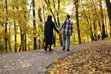 Cute couple holding hands and walking in autumn park, back view