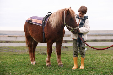 Fototapeta premium Equine assisted therapy. Little boy with beautiful pony outdoors. Lovely domesticated pet