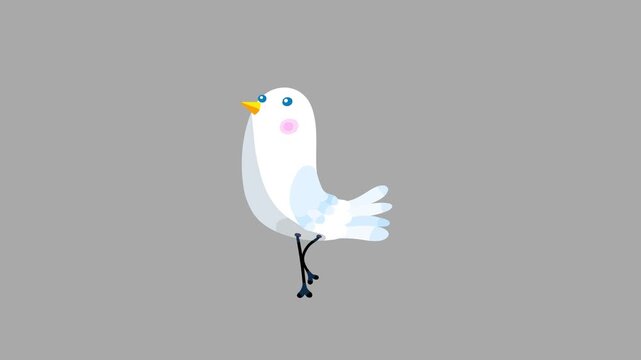 Bird white cartoon animation character isolated start walking. Animated bird character moves serie.