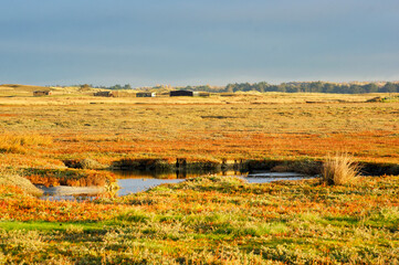 La Vanléee salt marsh in Cotentin coast. Normandy Region