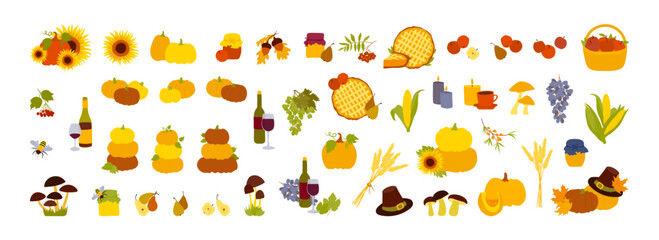 Thanksgiving Day illustration. Pumpkins, autumn mushrooms and berries, fall harvest vegetables and fruits. Vector seasonal fall Happy Thanks giving illustrations set isolated on white background.