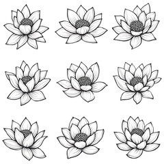 Fototapeta premium Black and White Lotus Flowers Pattern Artistic Floral Design Hand Drawn